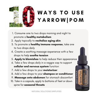 Yarrow | Pom Body Renewal Serum