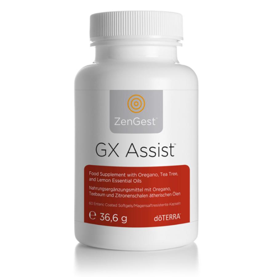 GX Assist®